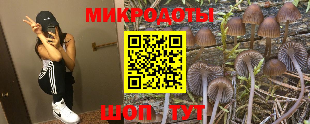 Псилоцибиновые грибы ЛСД  Вход с VPN  Бийск  Псилоцибиновые грибы Psilocybine cubensis 